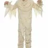 LF Products Pte. Ltd. Adult Mummy Costume -Disguise Store adult mummy costume