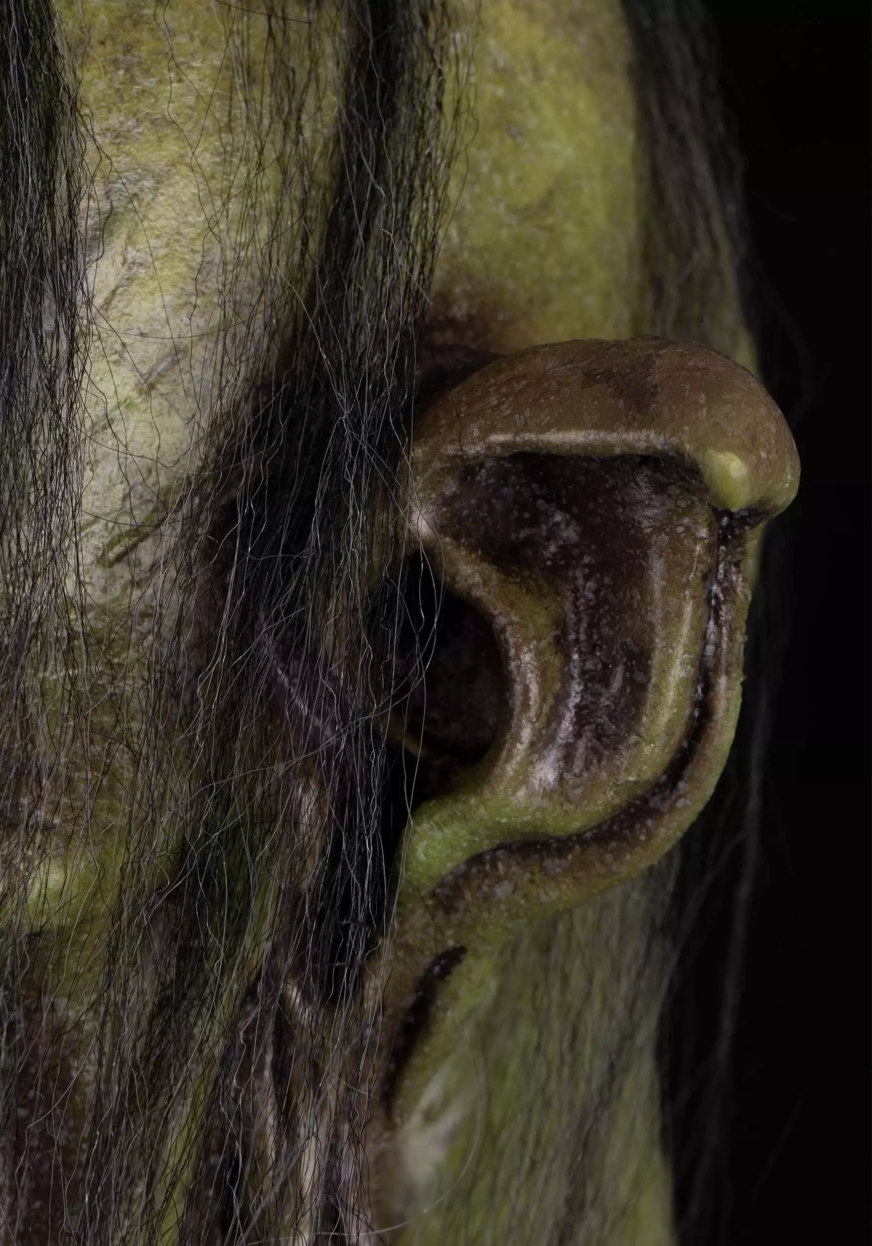 Oktober Studios Adult Wicce Mask 6 Oktober Studios Adult Wicce Mask - Image 4