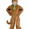 Rubies Costume Co. Inc Child Deluxe Scooby Doo Costume -Disguise Store child deluxe scooby doo costume