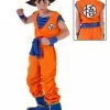 Fun Costumes Boys Goku Costume