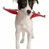 Pet Krewe Devil Costume For Pets -Disguise Store devil pet costume