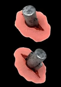 Tinsley Transfers Frank N Bolts FX Transfers Makeup Kit -Disguise Store frank n bolts fx transfers alt 2