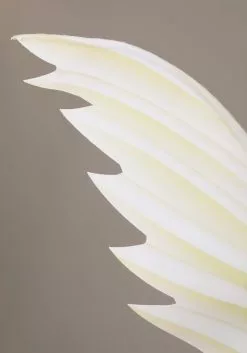 BigWan Apparel Co. Angel And Devil Costume For Kids -Disguise Store kids angel and devil costume alt 4