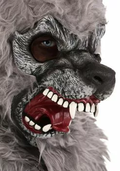 California Costume Collection Werewolf Kids Costume -Disguise Store kids werewolf costume6