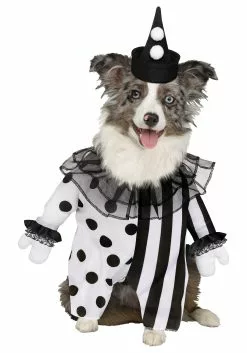 Fun World Killer Clown Pet Costume