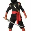 In Character Ninja Costume -Disguise Store ninja costume