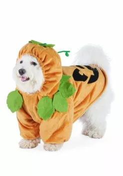 Joyin Pet Pumpkin Costume -Disguise Store pumpkin pet costume alt 3