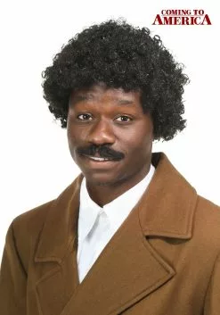 Fun Costumes Coming To America Adult Soul Glo Wig
