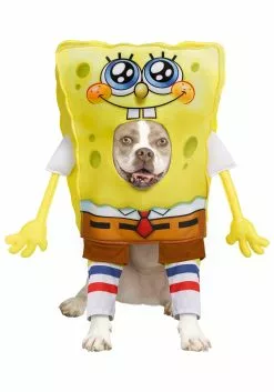InSpirit SpongeBob SquarePants Pet Costume