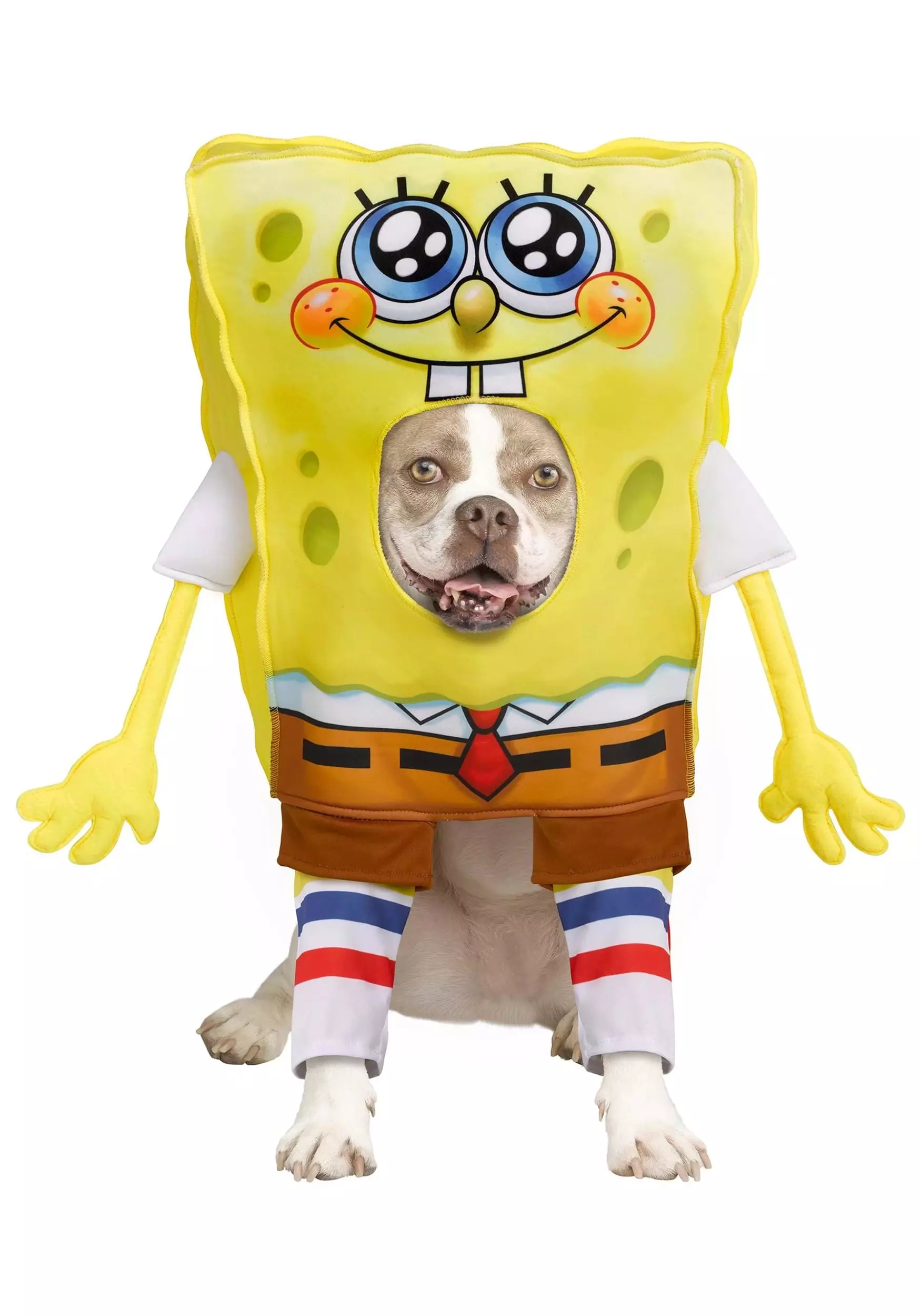 InSpirit SpongeBob SquarePants Pet Costume 3 InSpirit SpongeBob SquarePants Pet Costume
